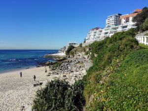 a picture of clifftop at Bondi Beach