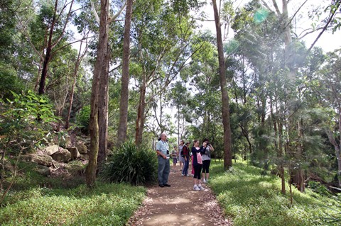 bushwalks in the hills