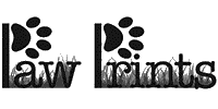 Paw-Prints-Manly-Digital-Marketing-Experts